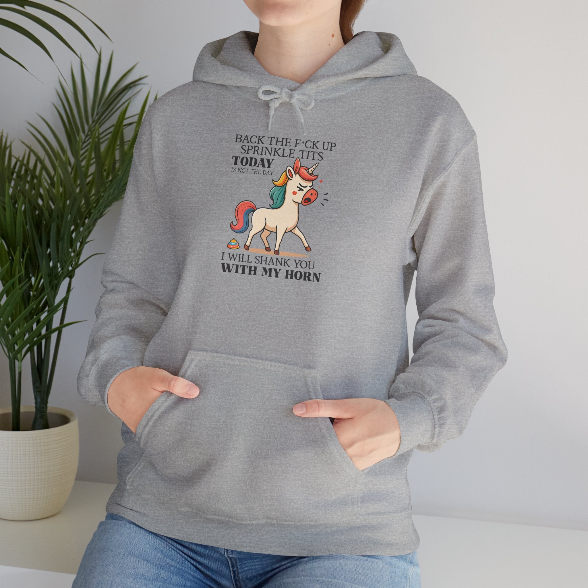 Funny Unicorn Hoodie — "Back the F**k Up Sprinkle Today I Will Shank You With My Horn"