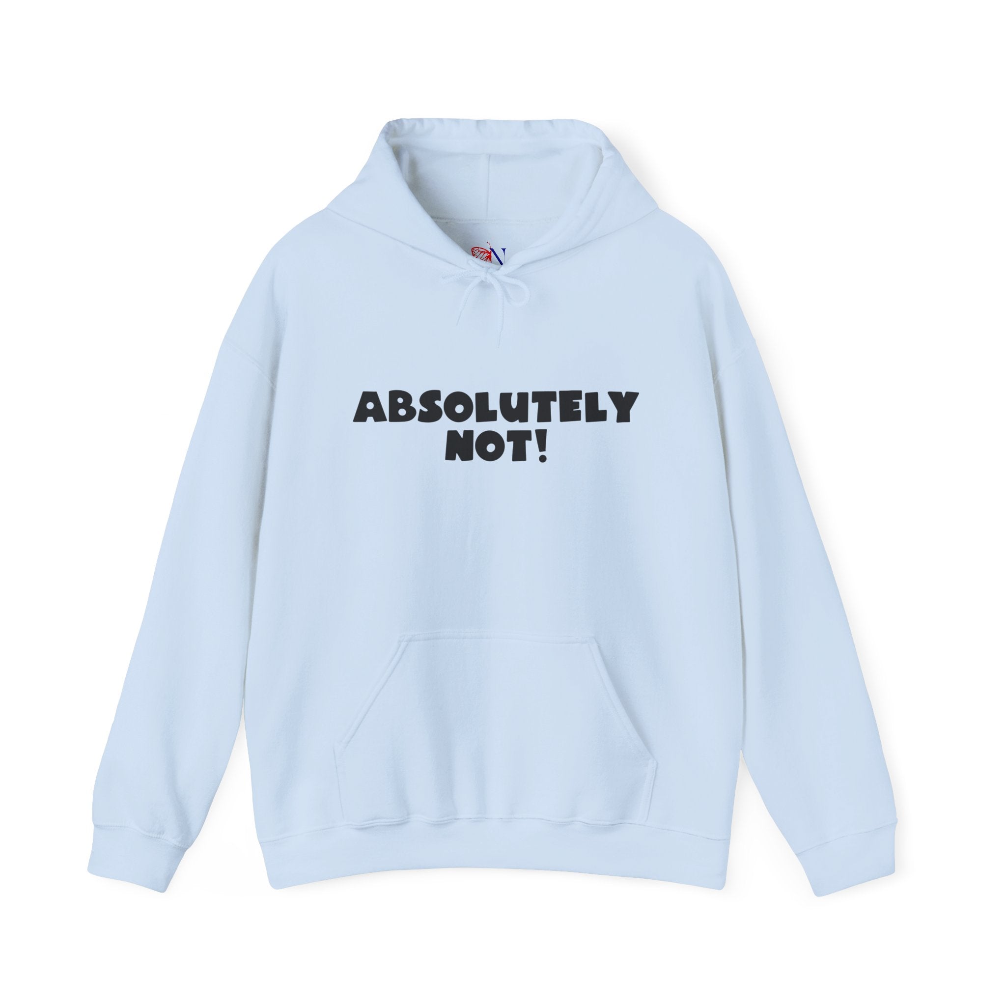 Absolutely Not! Hoodie — Funny Graphic Pullover