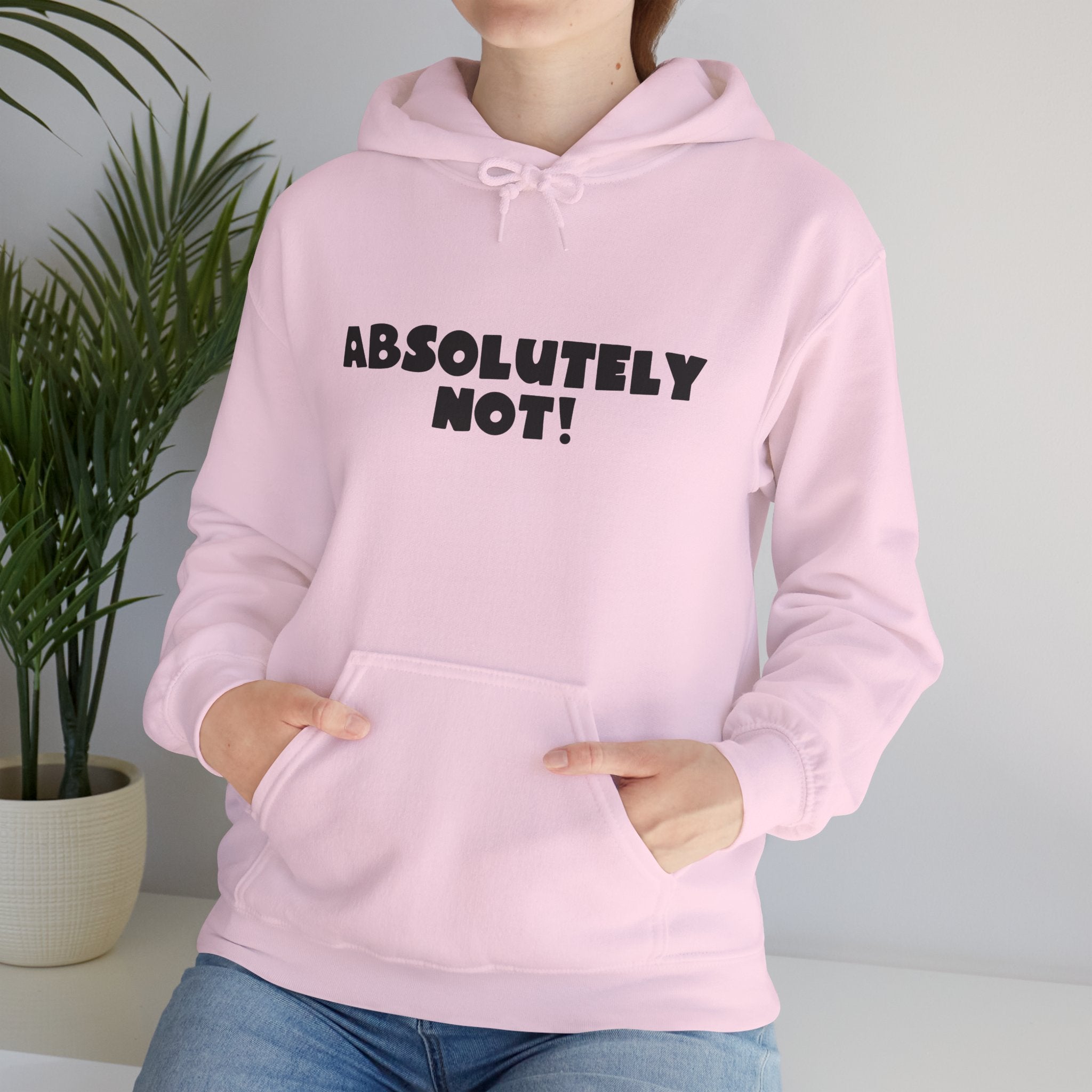 Absolutely Not! Hoodie — Funny Graphic Pullover