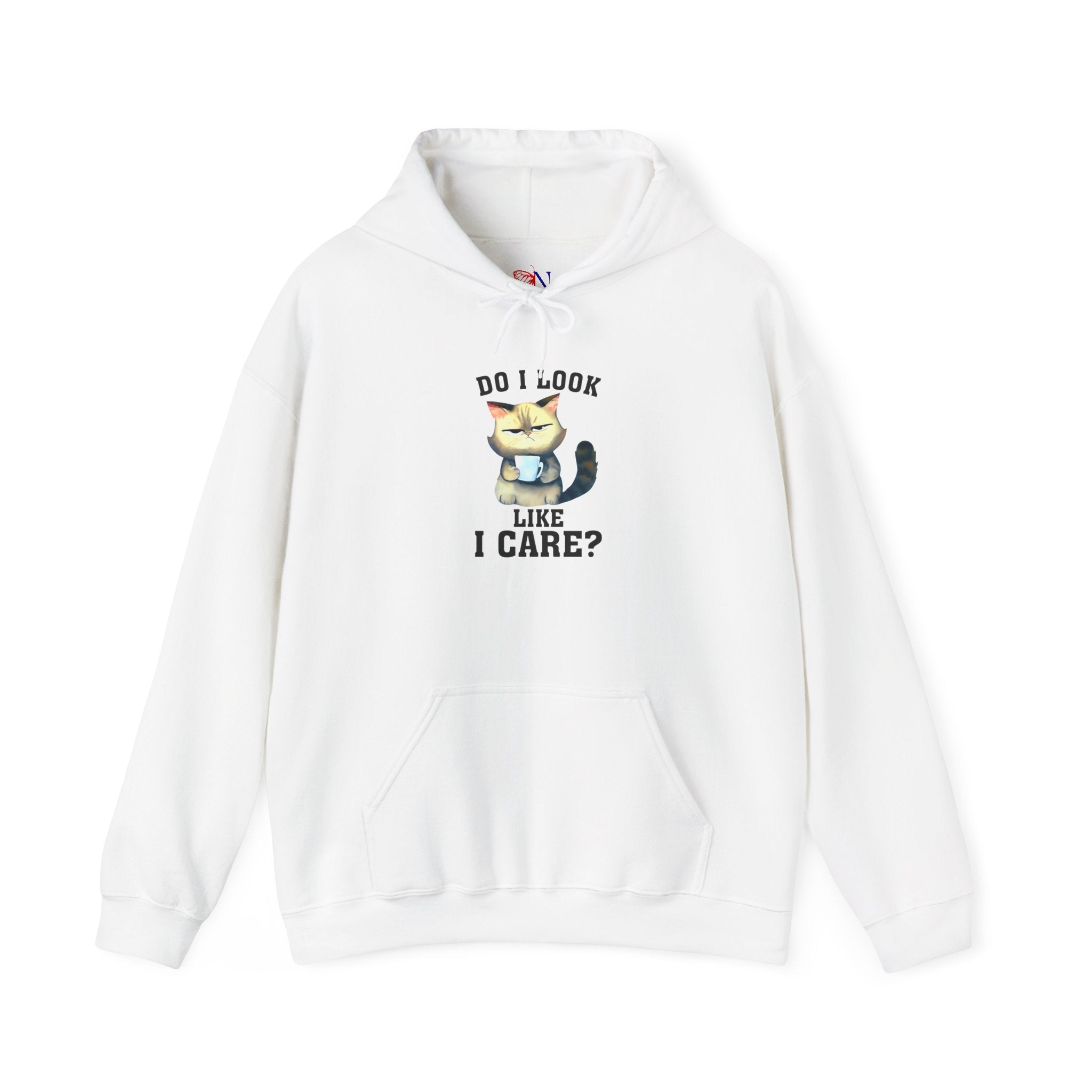 Do I Look Like I Care? Cat Hoodie – Funny Grumpy Cat Pullover