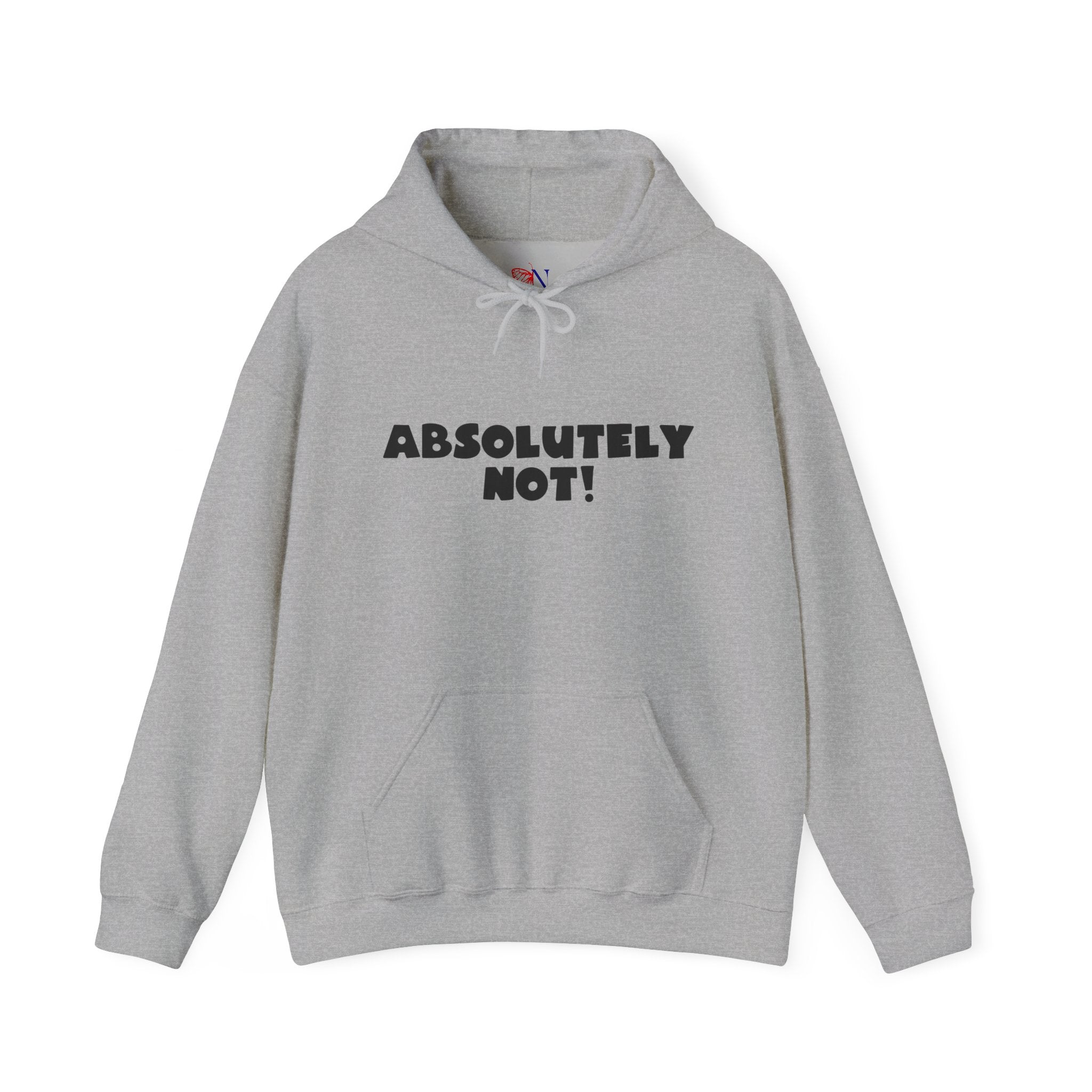 Absolutely Not! Hoodie — Funny Graphic Pullover