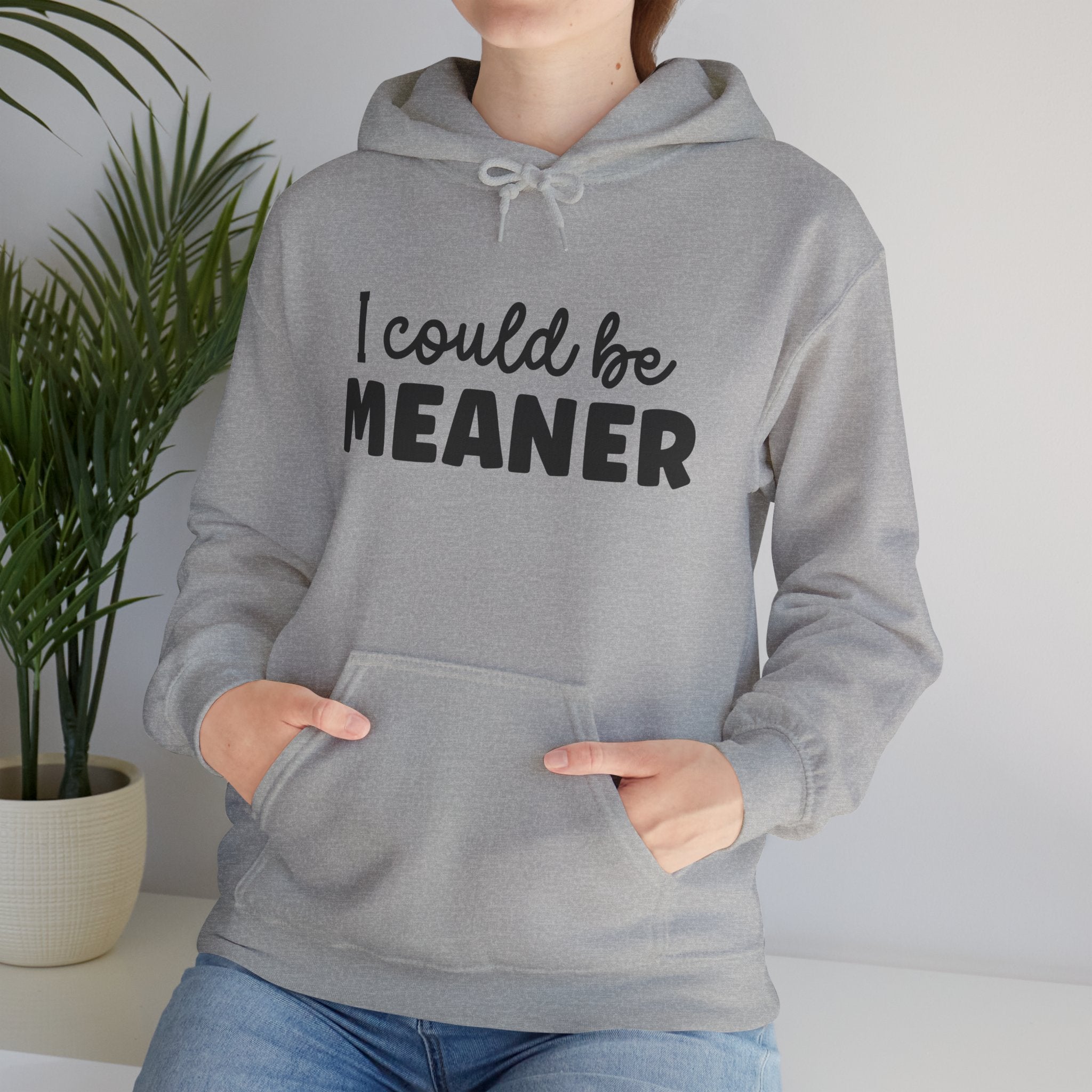 I Could Be Meaner Hoodie – Funny Sarcastic Graphic Pullover