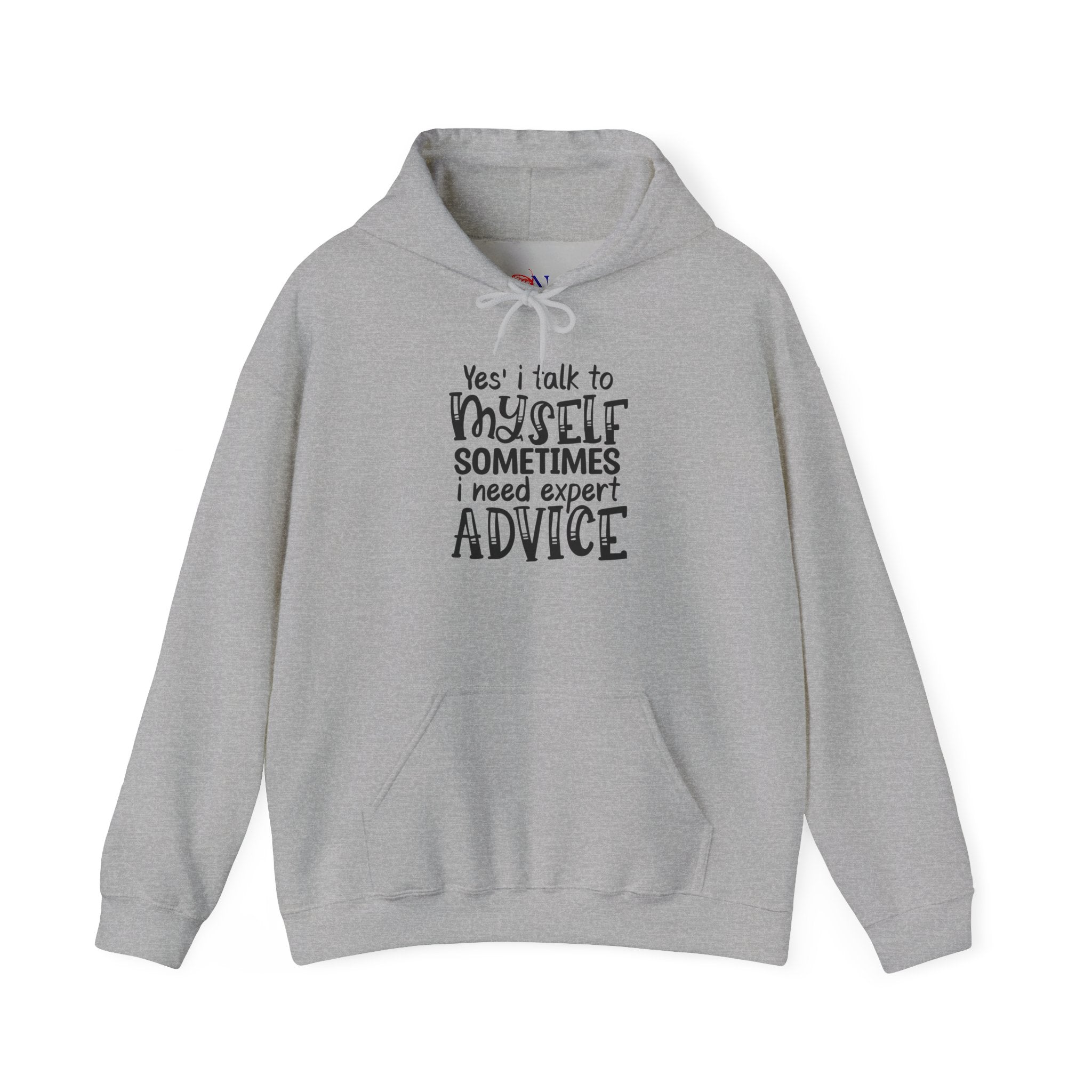 Hoodie - "Yes I Talk To Myself Sometimes I Need Expert Advice" Funny Self-Talk Pullover