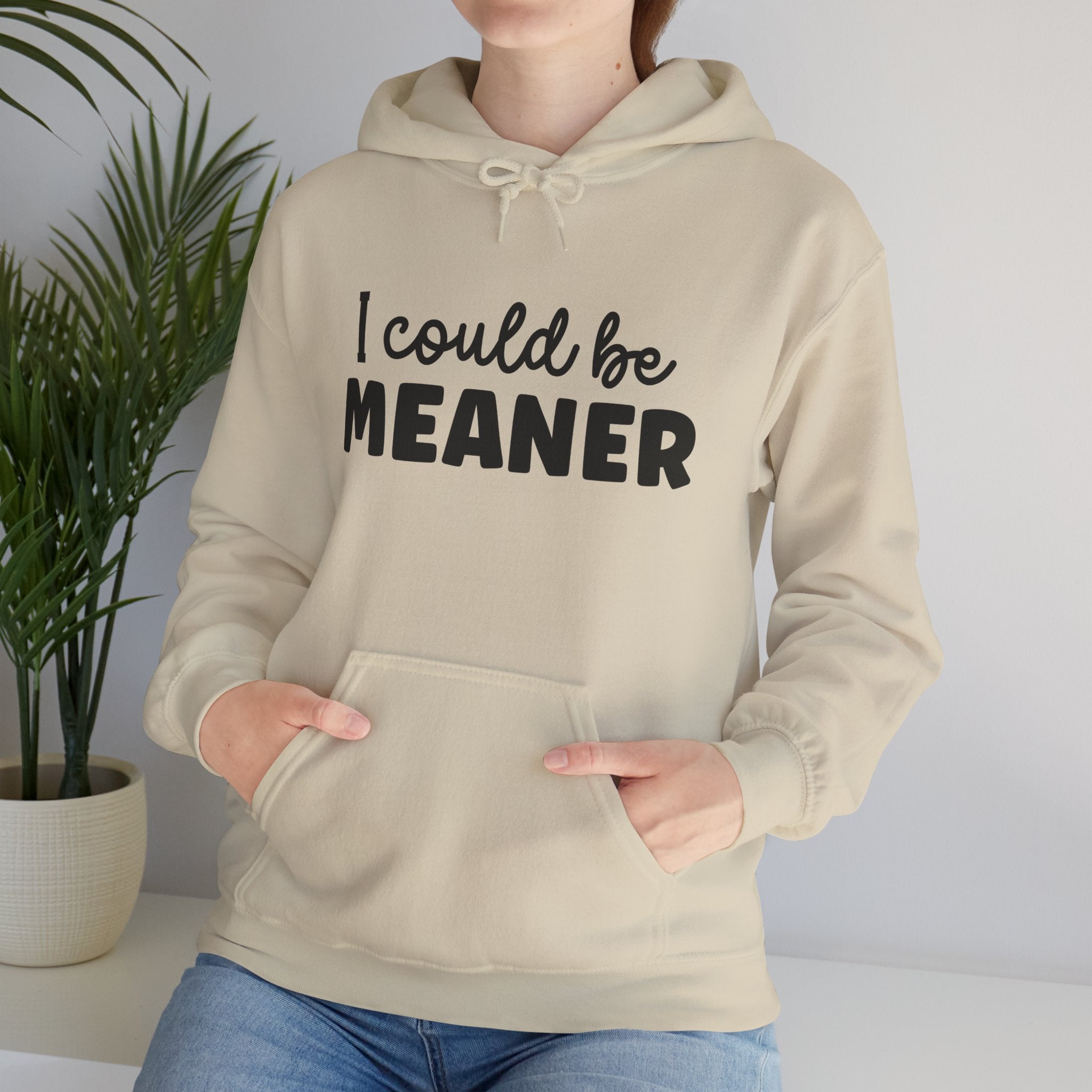 I Could Be Meaner Hoodie – Funny Sarcastic Graphic Pullover