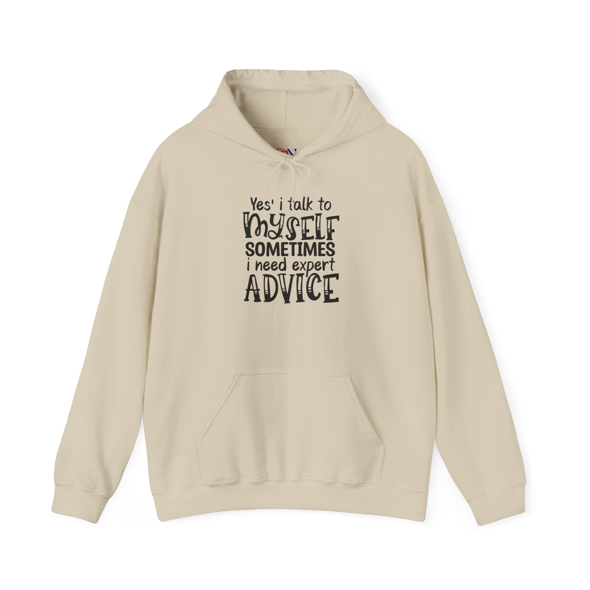 Hoodie - "Yes I Talk To Myself Sometimes I Need Expert Advice" Funny Self-Talk Pullover