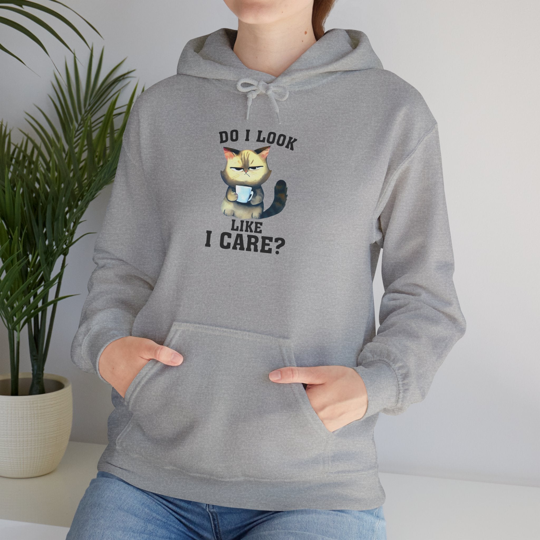 Do I Look Like I Care? Cat Hoodie – Funny Grumpy Cat Pullover