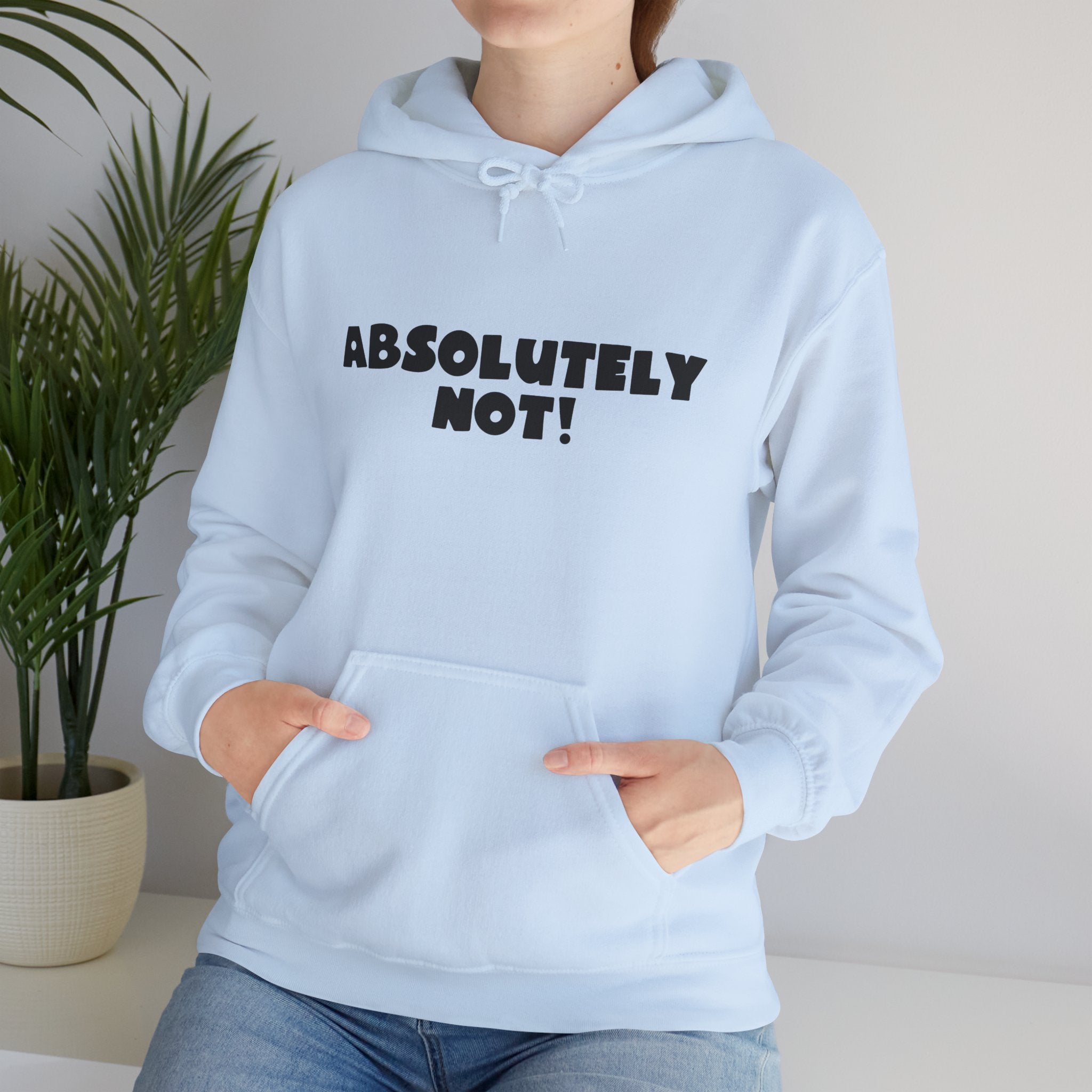 Absolutely Not! Hoodie — Funny Graphic Pullover