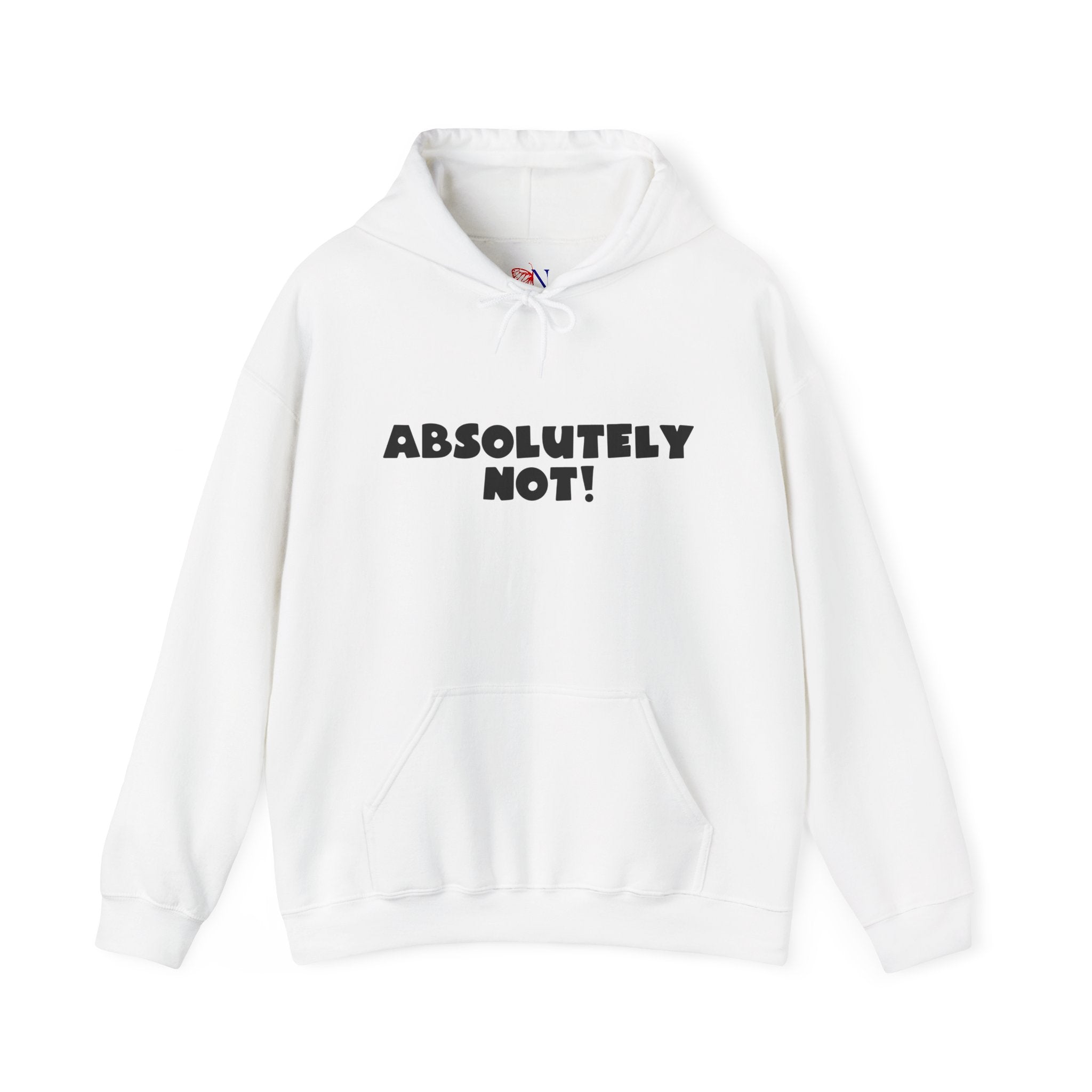 Absolutely Not! Hoodie — Funny Graphic Pullover