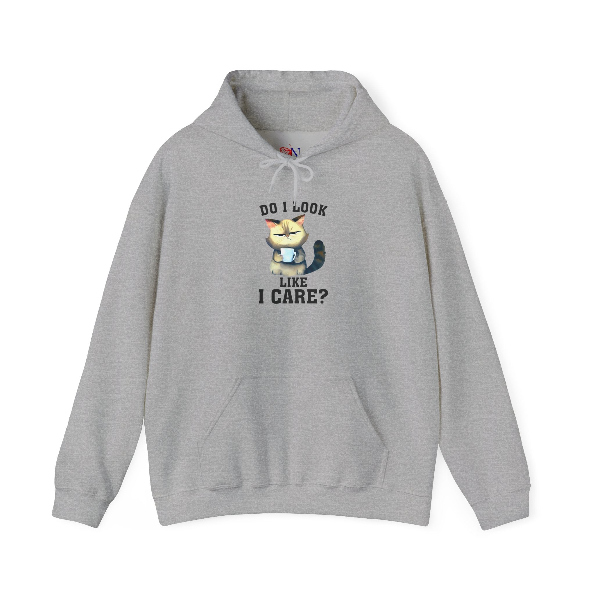 Do I Look Like I Care? Cat Hoodie – Funny Grumpy Cat Pullover