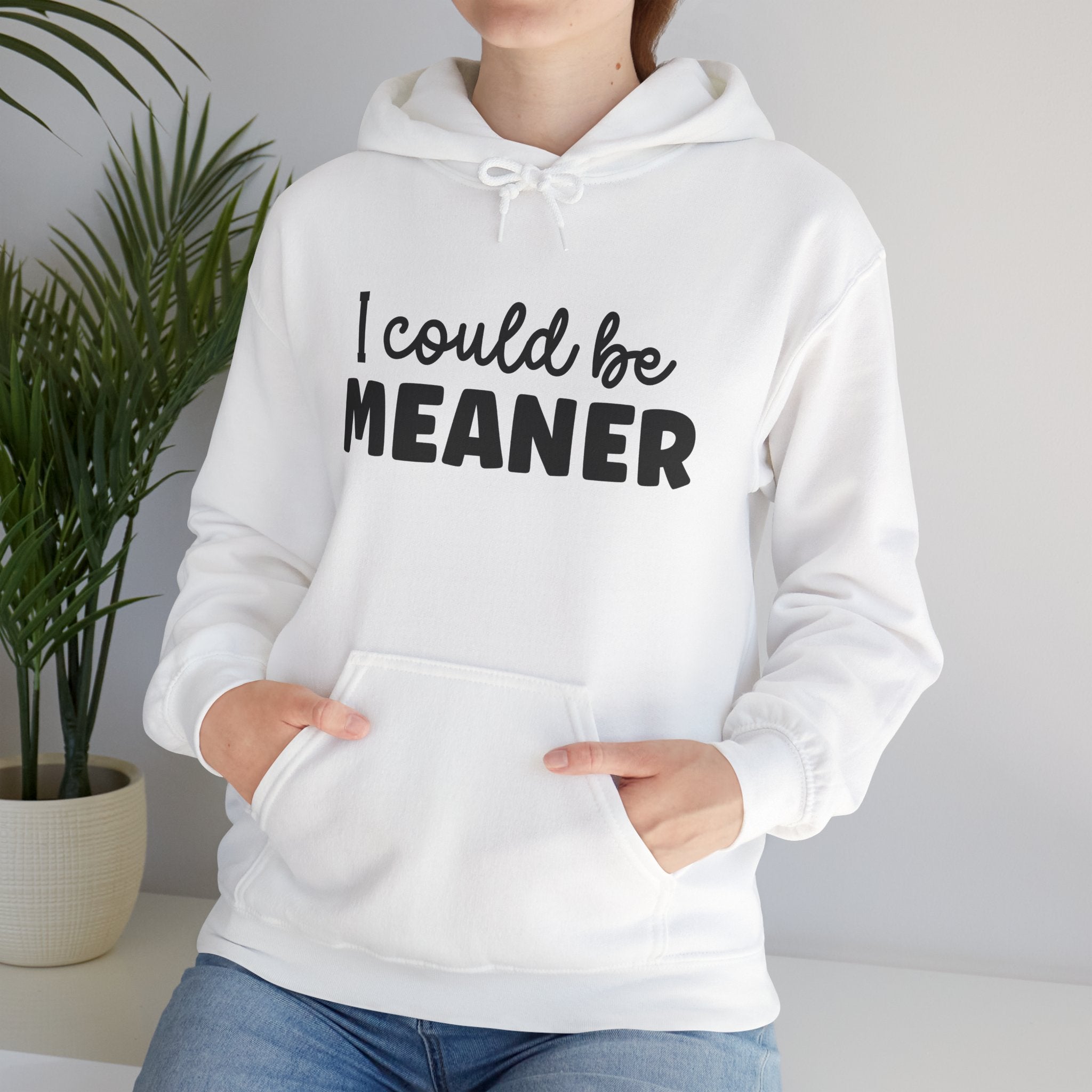 I Could Be Meaner Hoodie – Funny Sarcastic Graphic Pullover