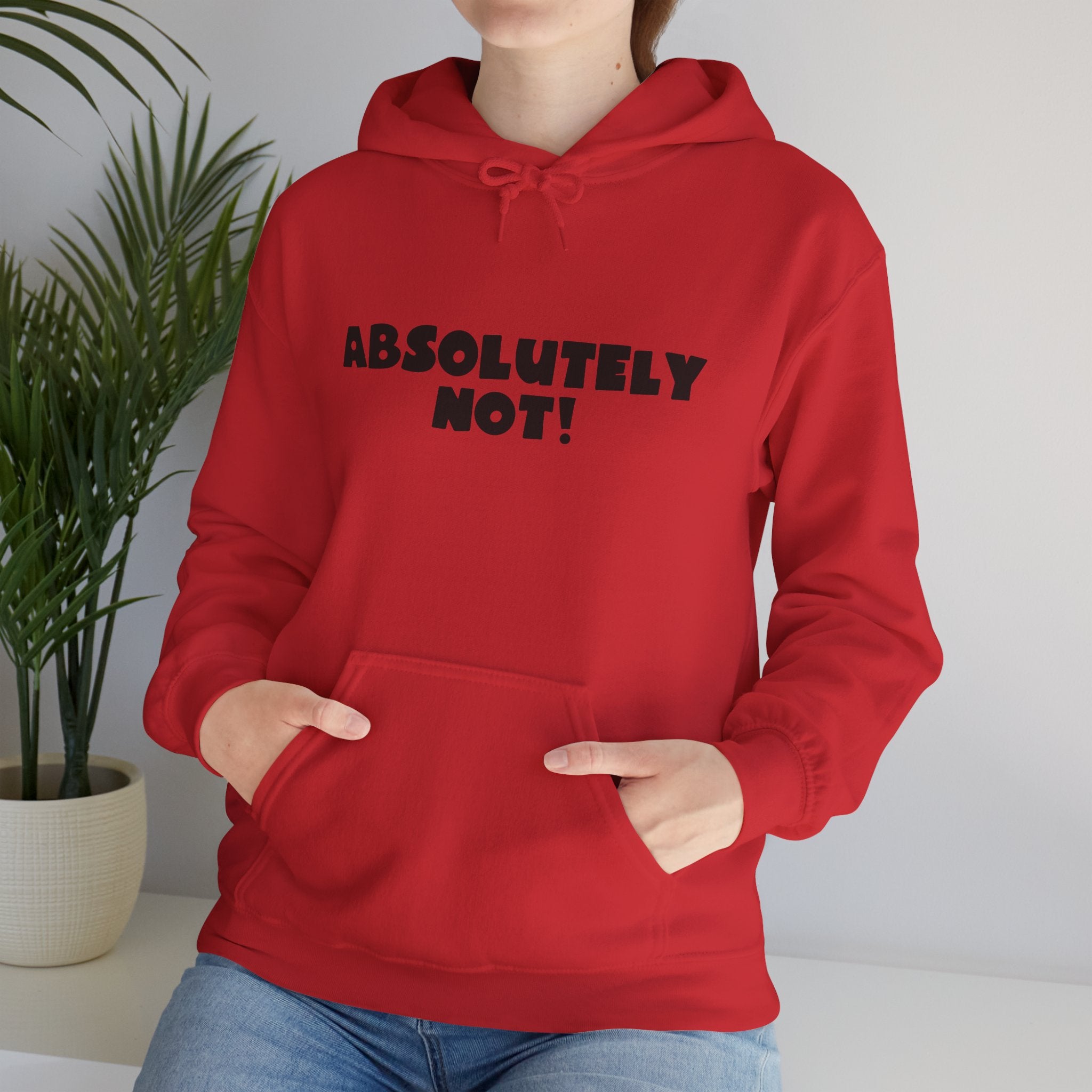 Absolutely Not! Hoodie — Funny Graphic Pullover