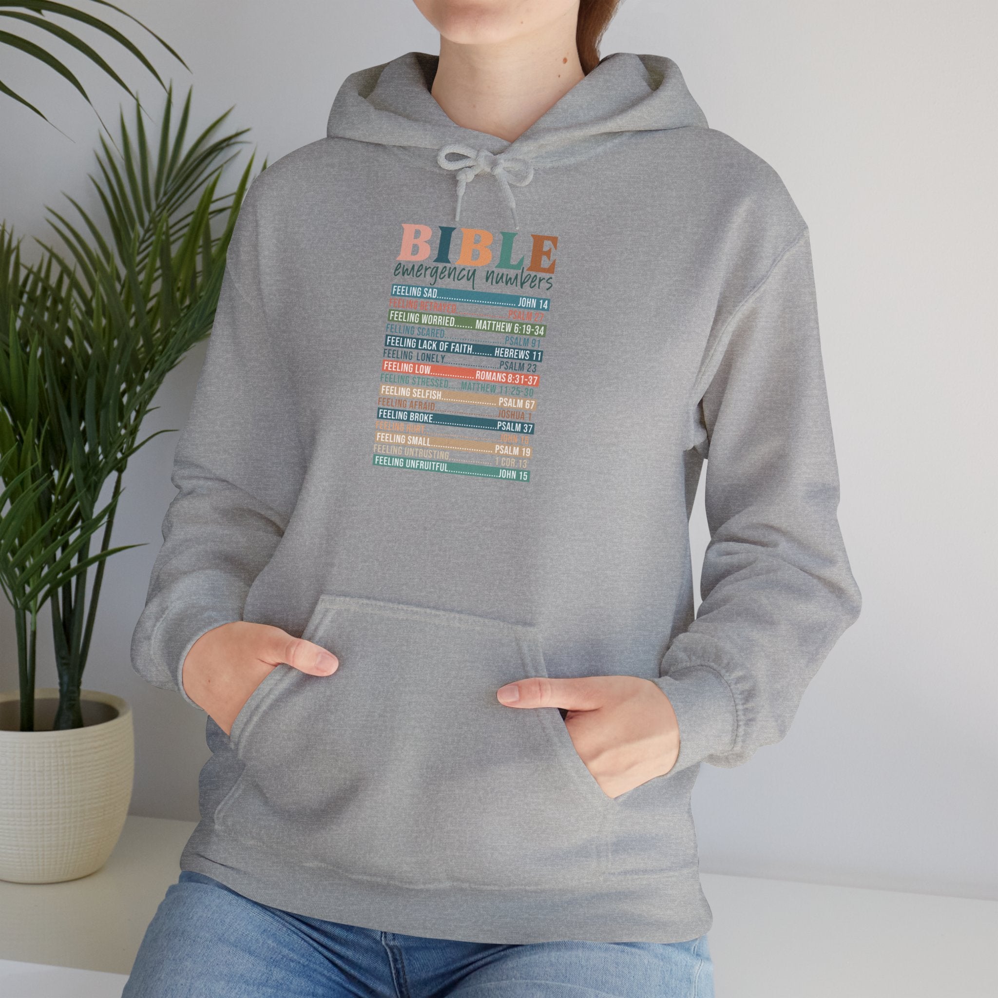 Bible Reading Plan Hoodie — Colorful Scripture Study Schedule Sweatshirt