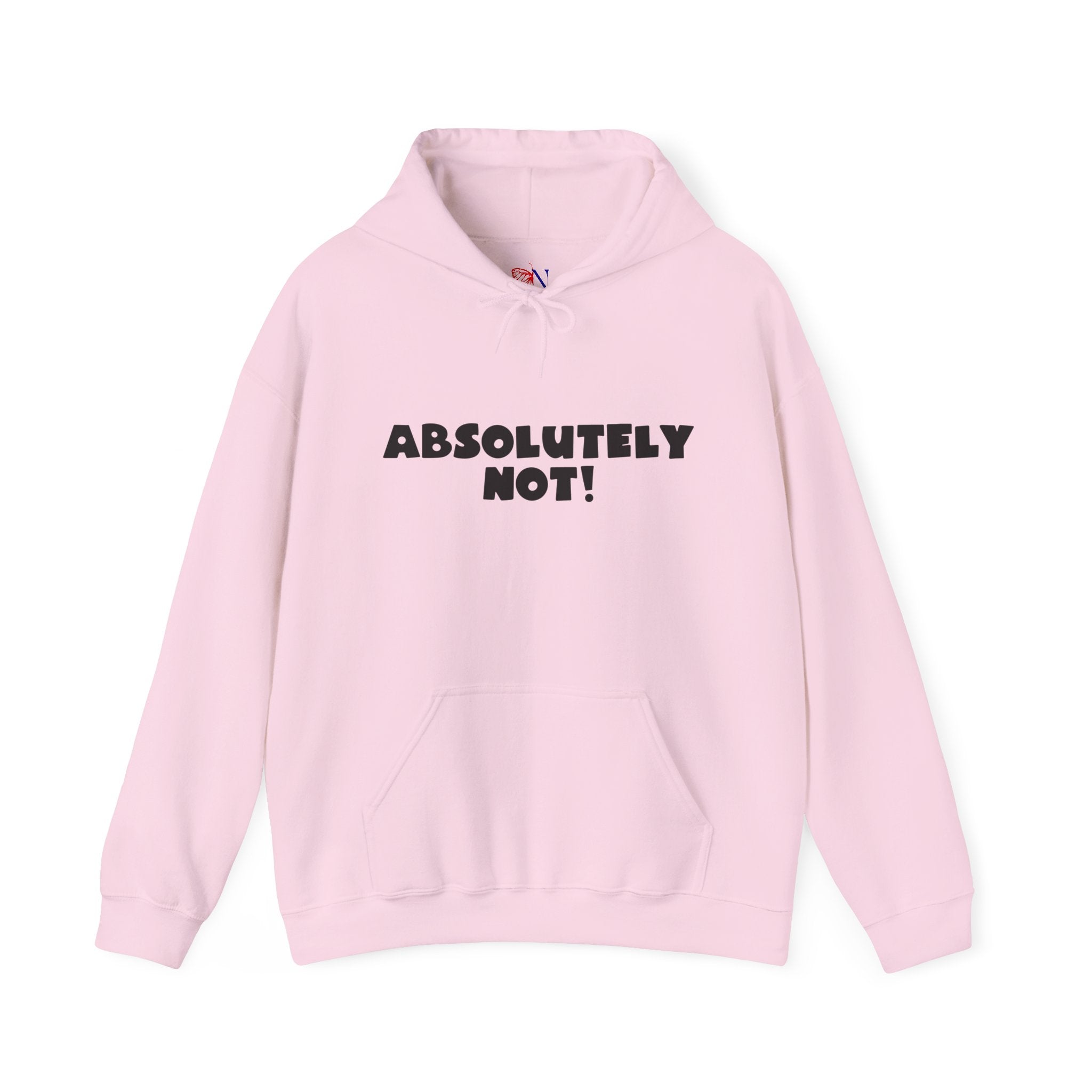 Absolutely Not! Hoodie — Funny Graphic Pullover