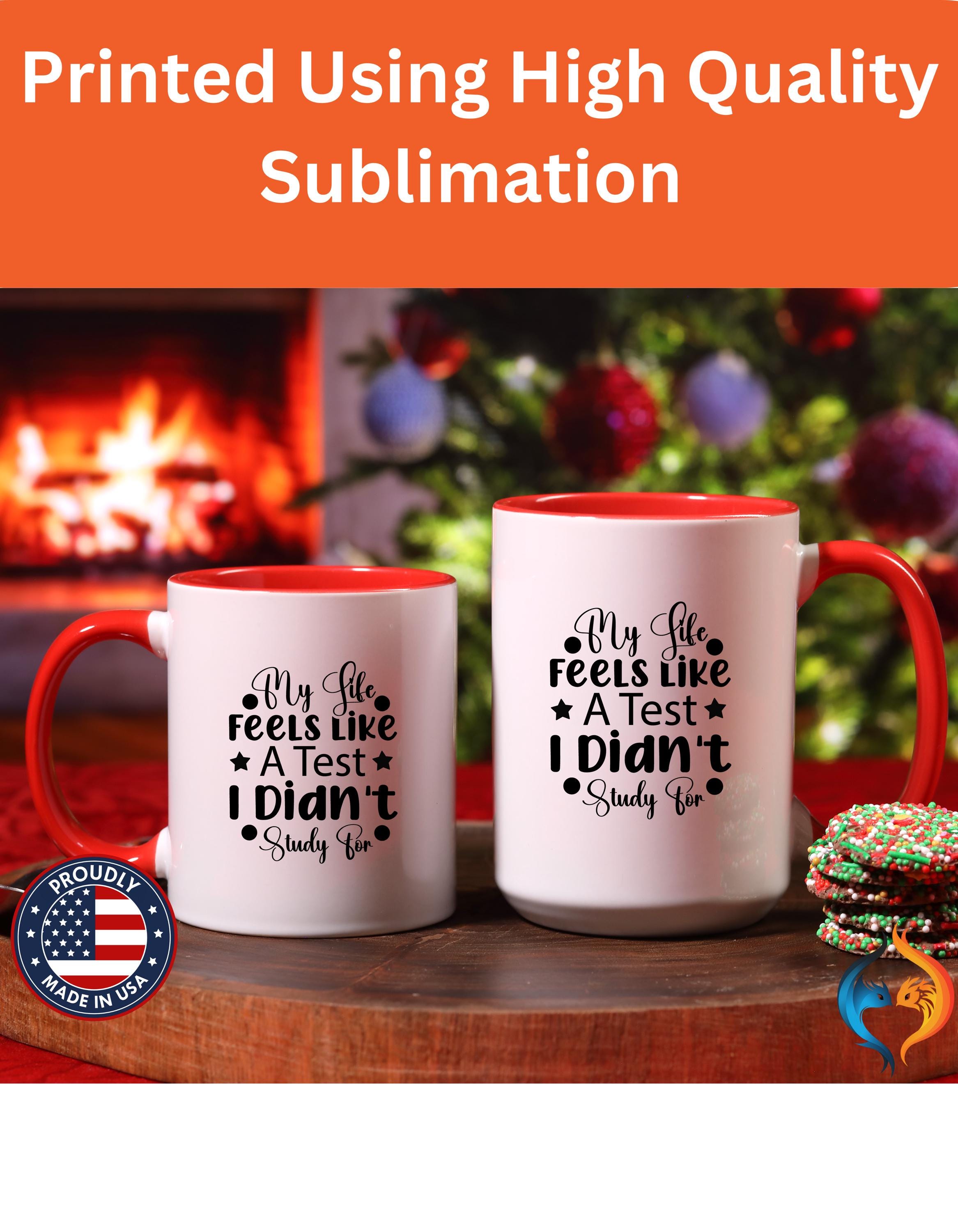Funny Coffee Mug, Personalized Mug, My Life Feels Like a Test I Didn't Study For Accent Cup (11, 15oz), Gift Under 20, White Elephant gift